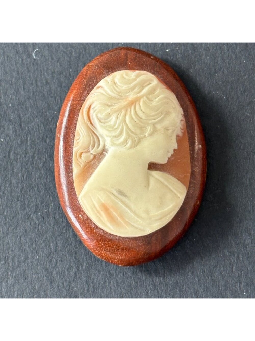 Vintage Unbranded Cameo Brooch Pin Wood Base Woman Profile